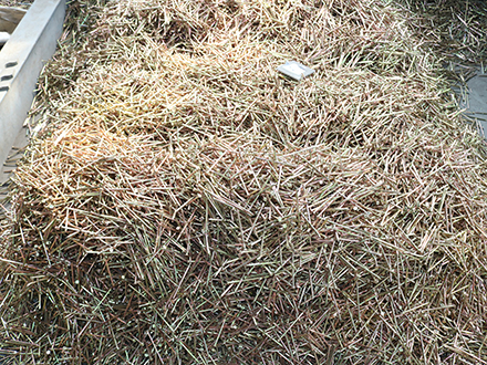 制釘機(jī)生產(chǎn)成品釘子儲存方法
